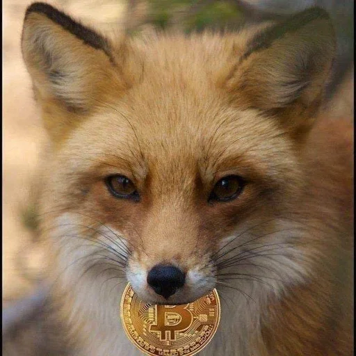 #269