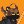 Blesstiger #2509