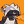 Blesstiger #968