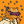 Blesstiger #1352