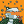Blesstiger #857