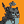 Blesstiger #2711