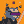 Blesstiger #334