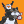 Blesstiger #283
