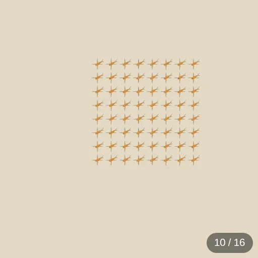 MCE Flying Fish #10