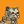 Blesstiger #516