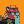 Blesstiger #1627