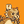 Blesstiger #670