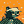 Blesstiger #2699