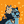 Blesstiger #227