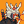 Blesstiger #2137