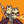 Blesstiger #210