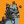 Blesstiger #1321