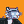 Blesstiger #2905