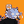 Blesstiger #2461