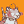 Blesstiger #1455