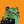 Blesstiger #1141