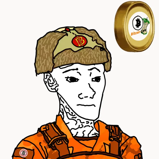 #118873052