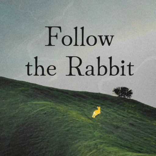 Follow the Rabbit