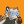 Blesstiger #1463