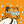Blesstiger #1852