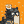 Blesstiger #2087