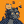 Blesstiger #3171