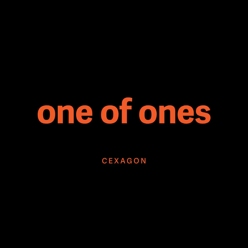Cexagon's 1/1s
