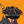 Blesstiger #1077