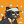 Blesstiger #3299