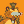Blesstiger #1232