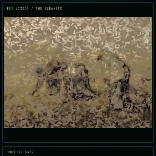 THE GLEANERS