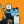Blesstiger #1701