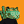 Blesstiger #2142