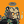 Blesstiger #2520