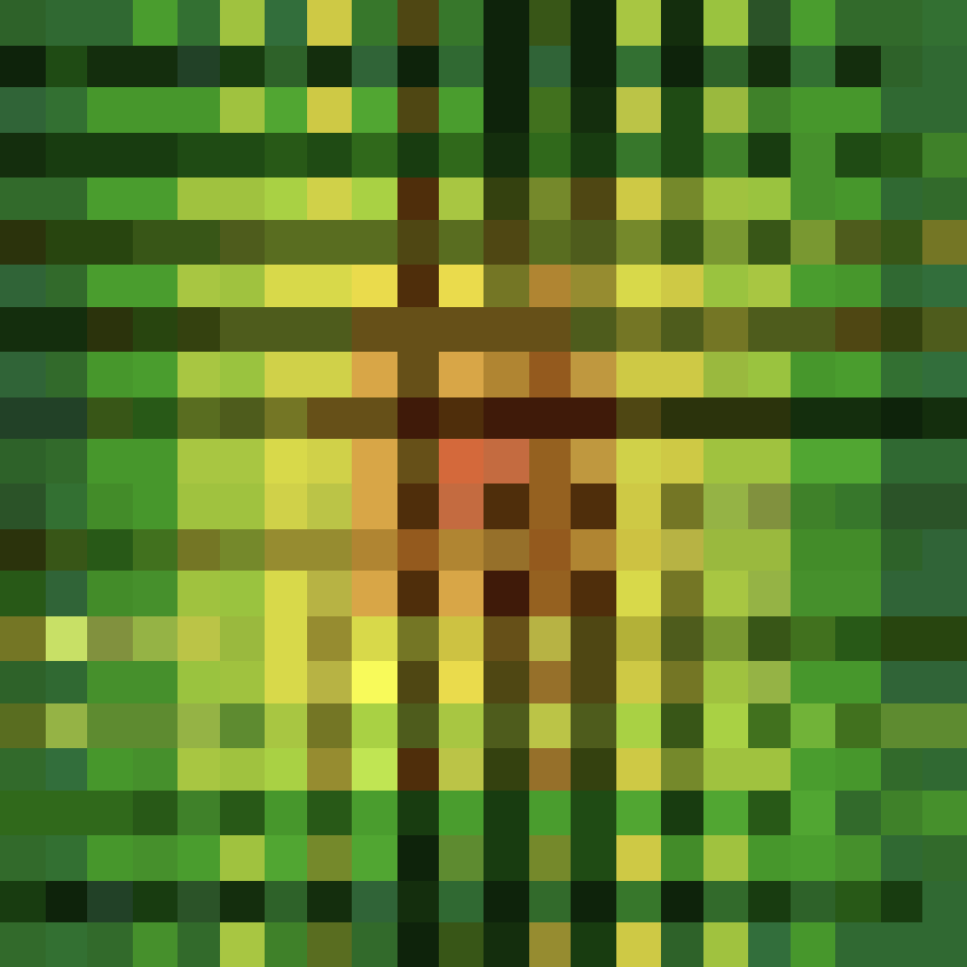 Photosynthesis 786