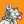 Blesstiger #3192