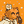 Blesstiger #1147