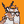Blesstiger #290