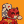 Blesstiger #2538