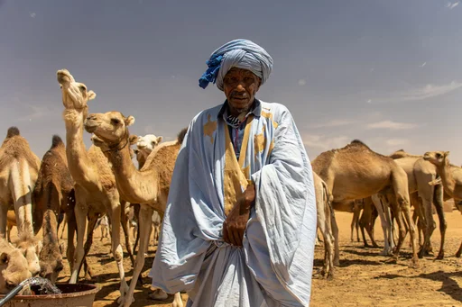 Nomads by Giulio Aprin