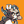 Blesstiger #255