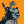 Blesstiger #2036