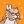 Blesstiger #2212