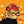 Blesstiger #2303