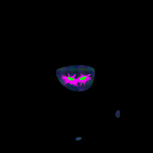 Blob #4033