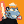 Blesstiger #599