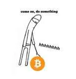 #113796806