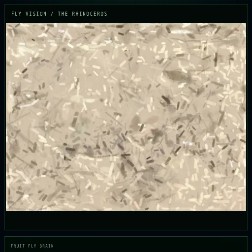 THE RHINOCEROS