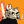 Blesstiger #1111